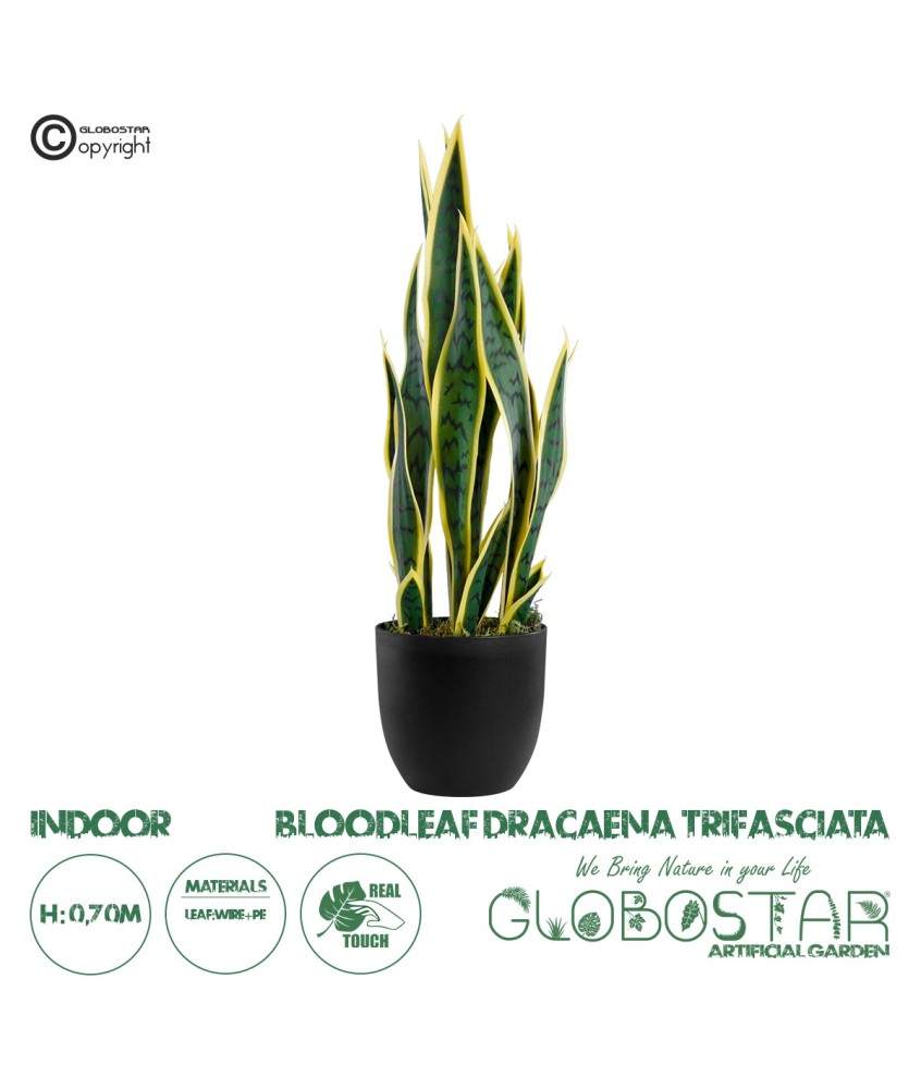 GloboStar® Artificial Garden BLOODLEAF DRACAENA TRIFASCIATA 20060 Τεχνητό Διακοσμητικό Φυτό Αιματόφυλλη Σανσεβιέρια Υ70cm